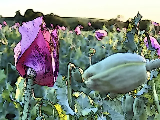 .. a bissle "Kunst" mit dem Mohn.... | Foto: Moni Bordt