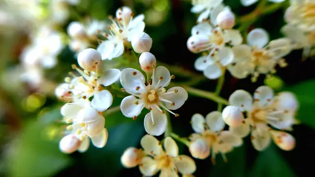 Im Garten mal etwas genauer hingeschaut....🌺🌞😍😎 | Foto: Ralf Röser