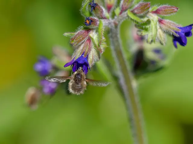 Foto: Eigenes Bild TB