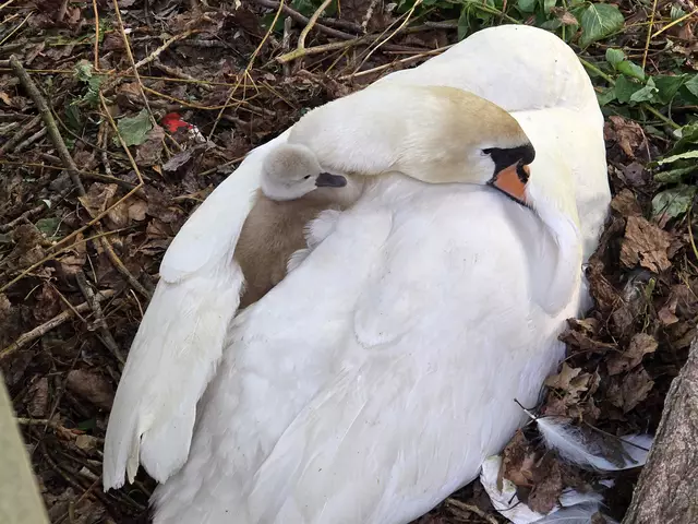 Foto: Heidrun Rosenberger