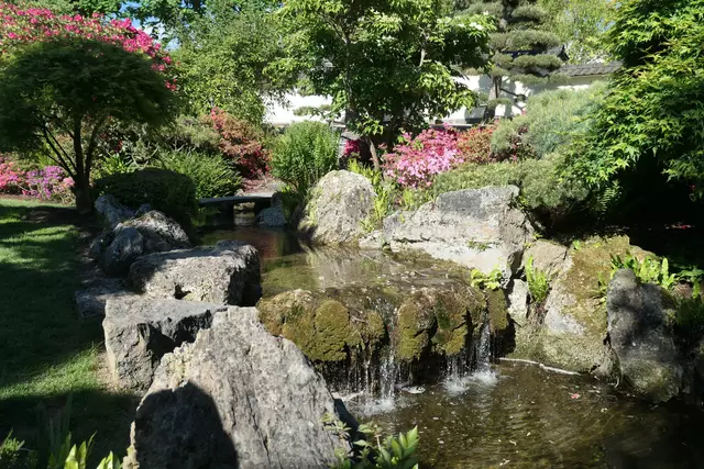 Japanische Garten | Foto: JuKo