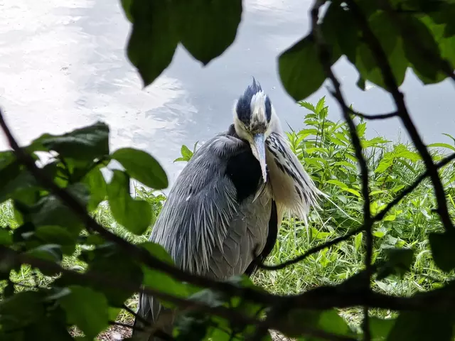 Foto: Heidrun Rosenberger