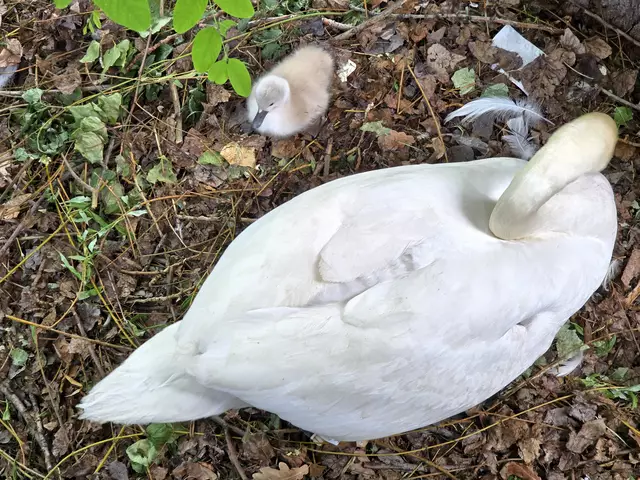 Foto: Heidrun Rosenberger