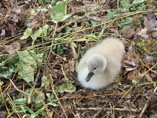 Foto: Heidrun Rosenberger