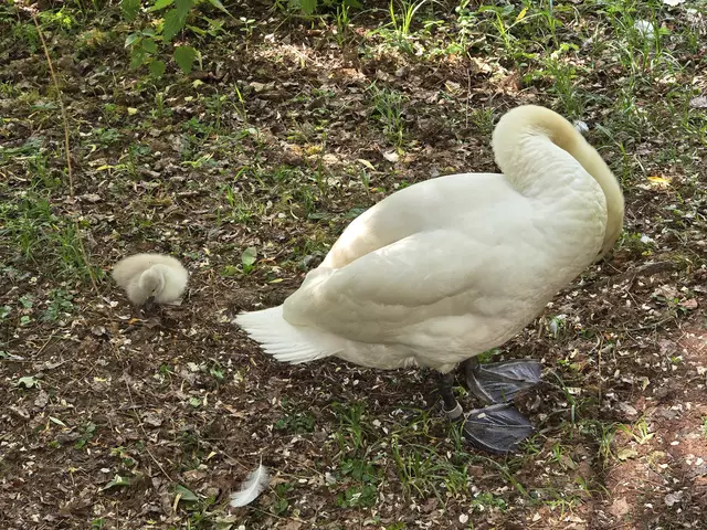 Foto: Heidrun Rosenberger