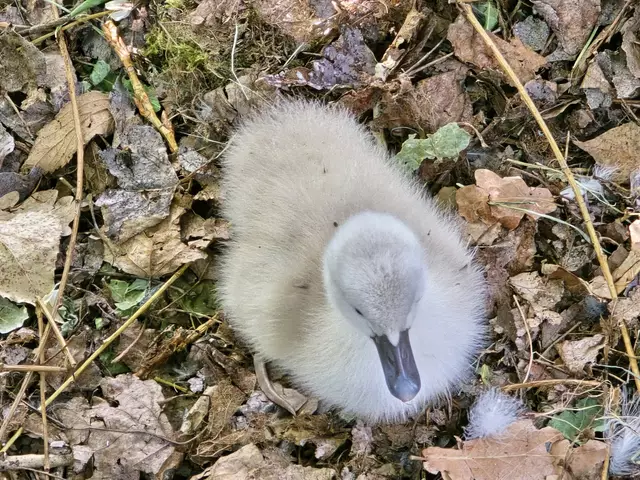 Foto: Heidrun Rosenberger