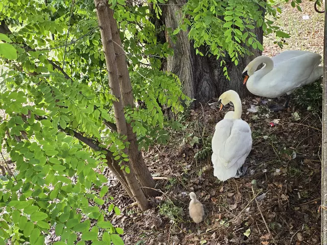 Foto: Heidrun Rosenberger