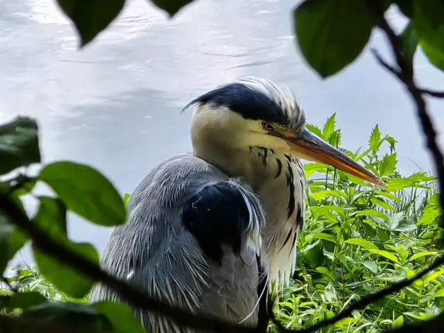 Foto: Heidrun Rosenberger