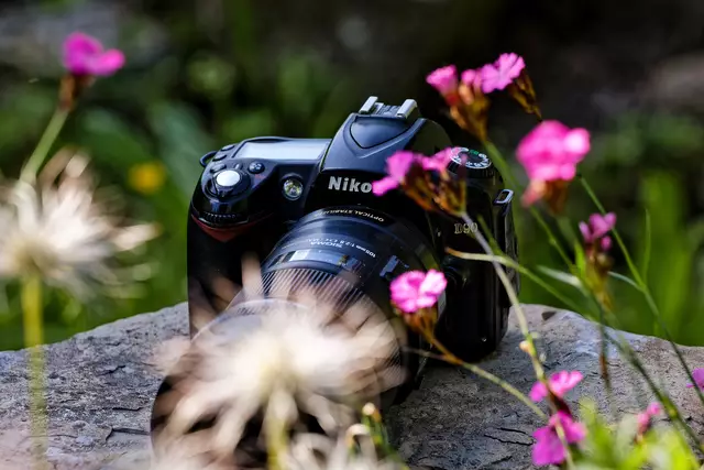 Gartendeko | Foto: WKY