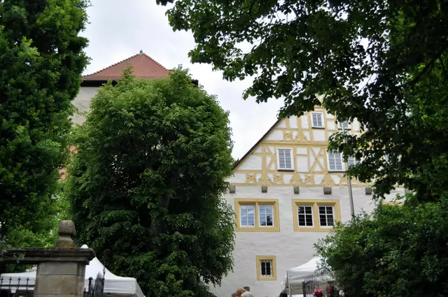 Schloss und links hinter dem Busch der Wohnturm. | Foto: Daniela Somers