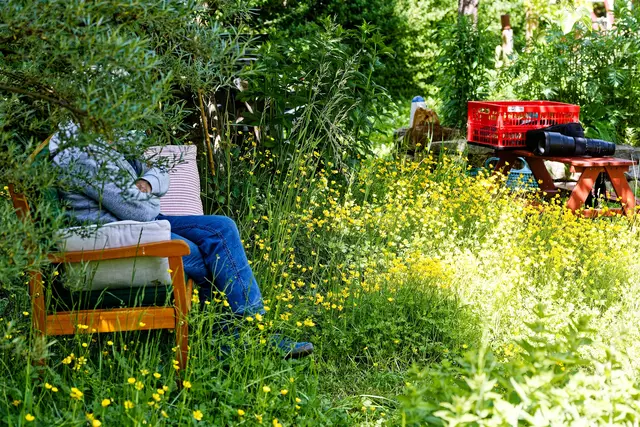 's Rentnerbänkle | Foto: WKY