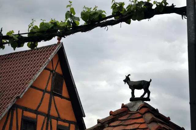 Überall sieht man auch Deko. | Foto: Daniela Somers