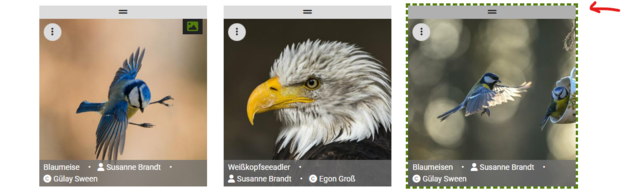 Wenn du auf die graue Fläche über dem Bild lange klickst, kannst du es an eine andere Stelle ziehen. | Foto: HSt Grafik