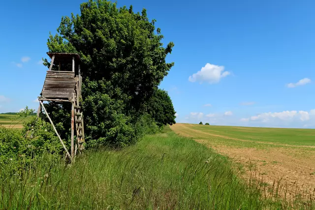 Foto: Eduard Warenik