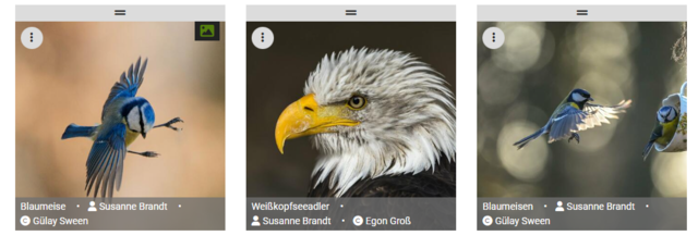 So sieht beispielsweise die Übersicht deiner hochgeladenen Bilder aus. | Foto: HSt Grafik