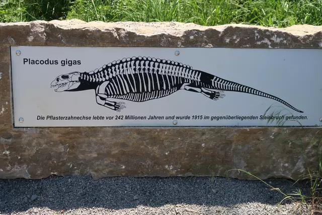 Foto: Eduard Warenik