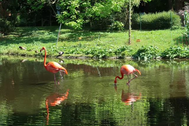 Foto: Eduard Warenik