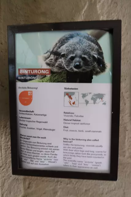 Foto: Eduard Warenik