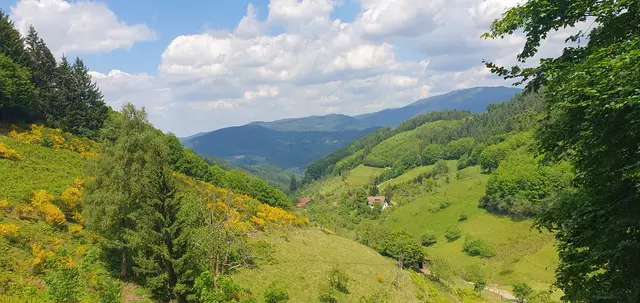 Foto: privat Sibylle Tröber
