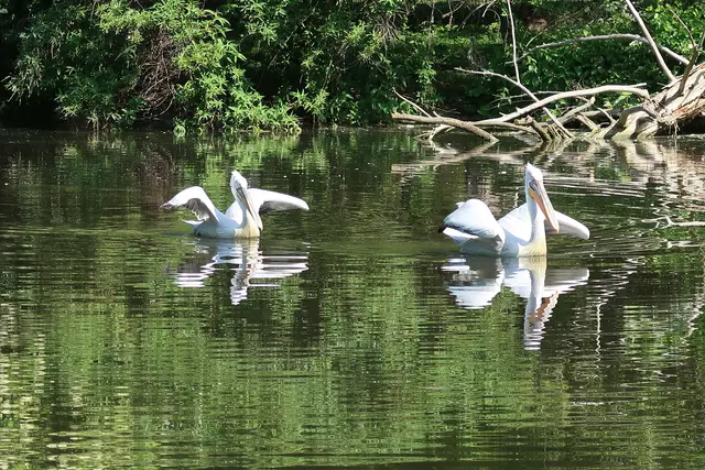 Foto: Eduard Warenik