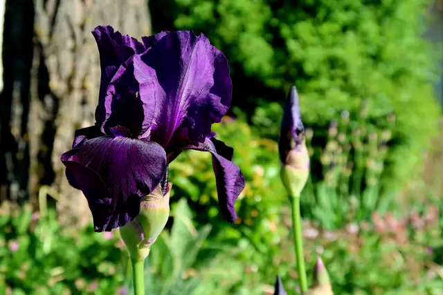 Foto: Eduard Warenik