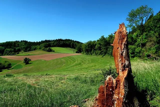 Foto: Eduard Warenik