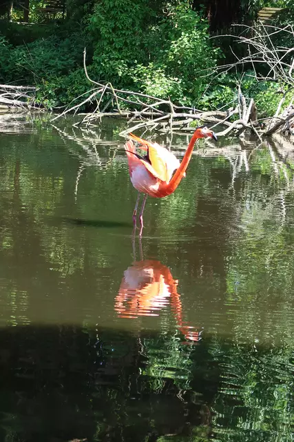 Foto: Eduard Warenik