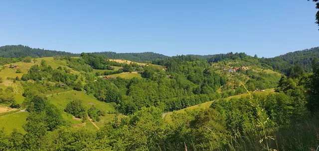 Foto: privat Sibylle Tröber