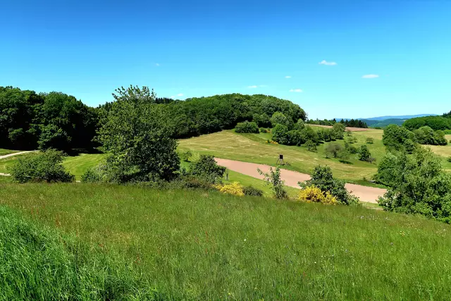 Foto: Eduard Warenik