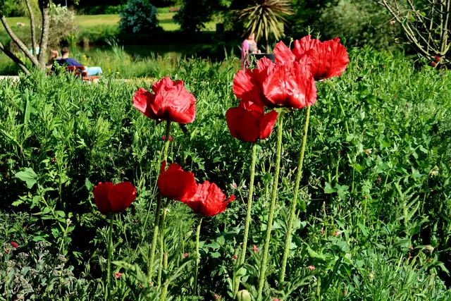 Foto: Eduard Warenik