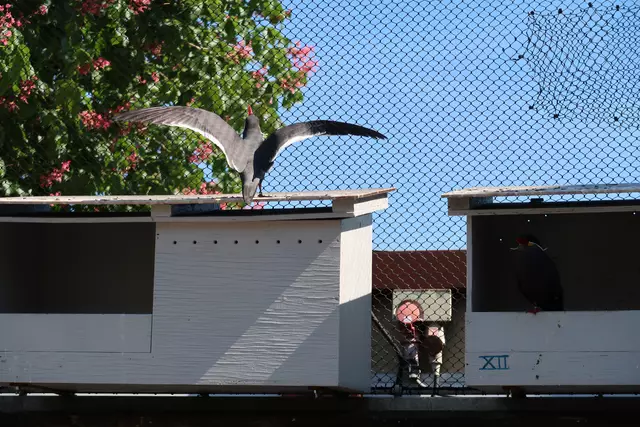 Foto: Eduard Warenik