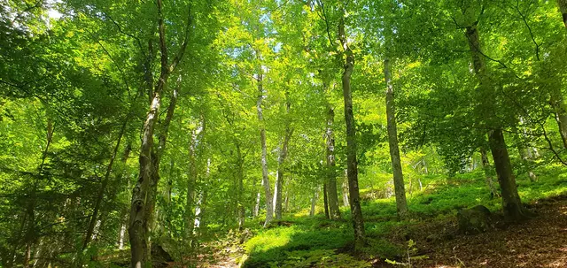 Foto: privat Sibylle Tröber