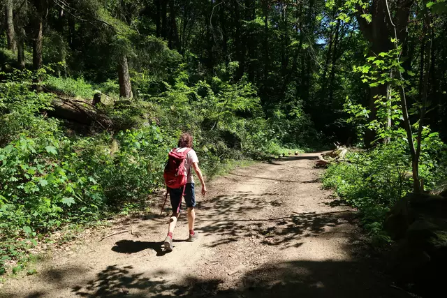 Foto: Eduard Warenik