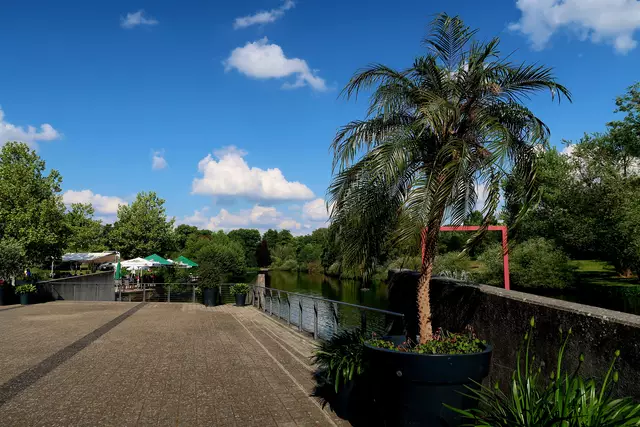 Foto: Eduard Warenik