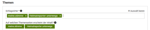 So sieht es aus, wenn du zwei Schlagwörter vergeben hast. Ein Schlagwort ist immer von einem grünen Kasten umgeben. | Foto: HSt Grafik