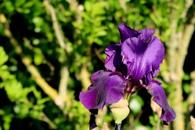 Foto: Eduard Warenik