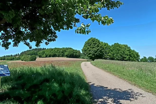 Foto: Eduard Warenik