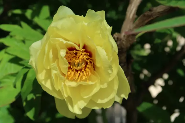 Foto: Eduard Warenik