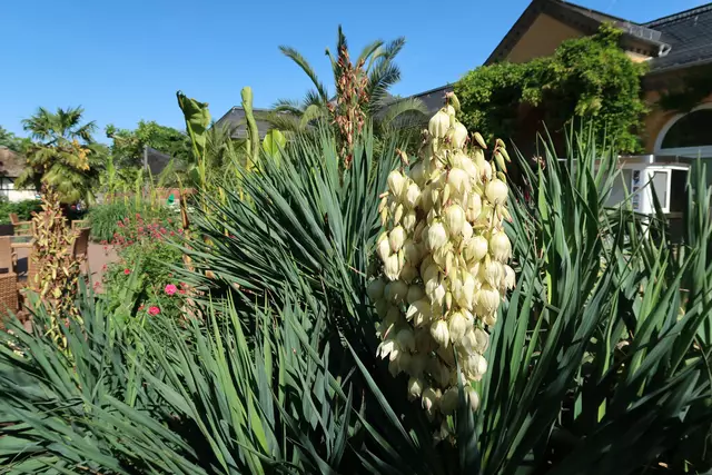 Foto: Eduard Warenik