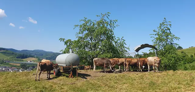 Foto: privat Sibylle Tröber