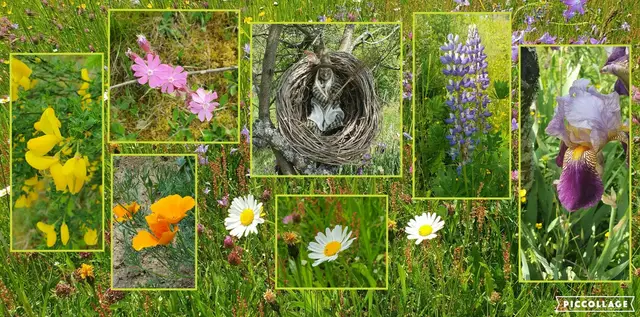 Foto: privat Sibylle Tröber