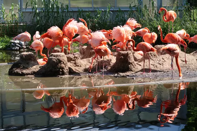 Foto: Eduard Warenik