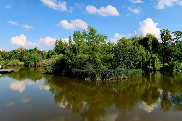 Foto: Eduard Warenik