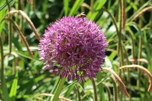 Foto: Eduard Warenik