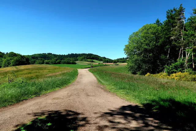 Foto: Eduard Warenik