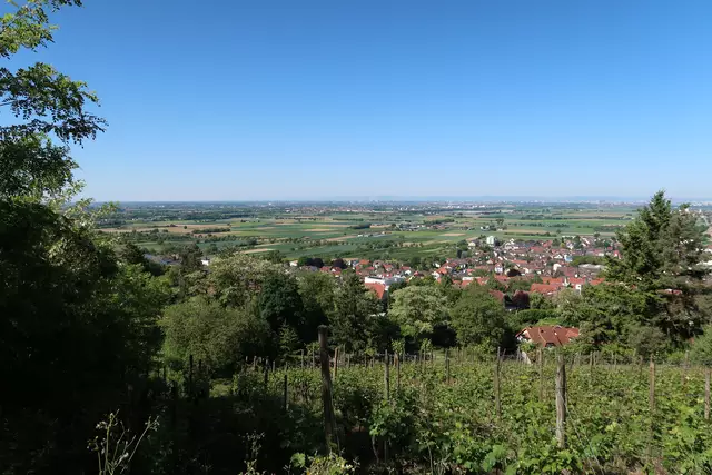 Foto: Eduard Warenik