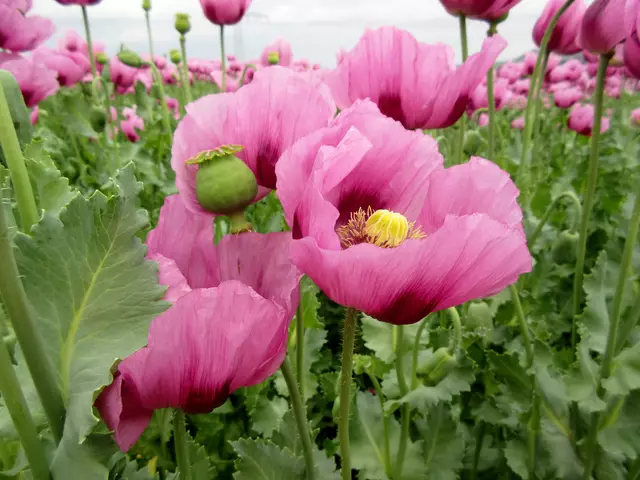 Foto: WandernGabyErich