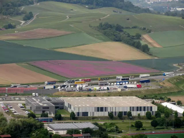 Es blüht schon in Erlenbach, Aussicht vom Kayberg | Foto: WandernGabyErich
