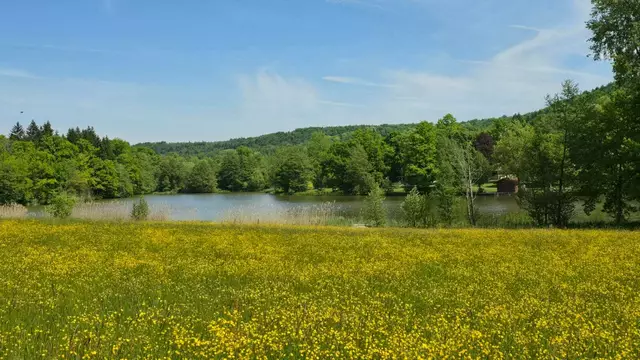 Friedlich liegt der Neumühlsee inmitten der frühsommerlichen Natur | Foto: Christina Hansel
