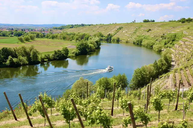 Neckarschleife bei Kirchheim | Foto: ED